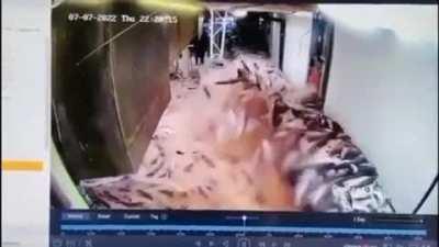 “Not a single Golden Egg? Grrrr…I should have made you read the training manual.”