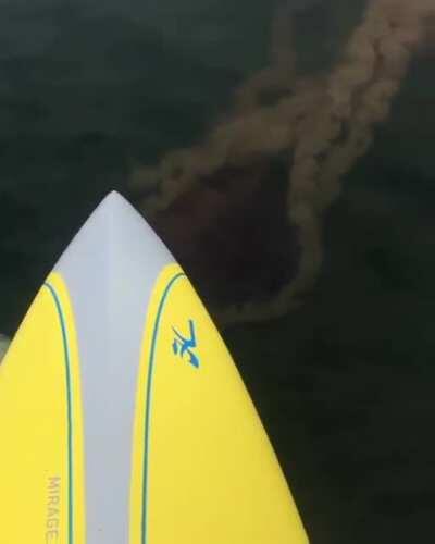 Don't wanna meet any of these dudes in a dark alley...