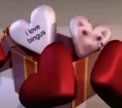 I love bingus