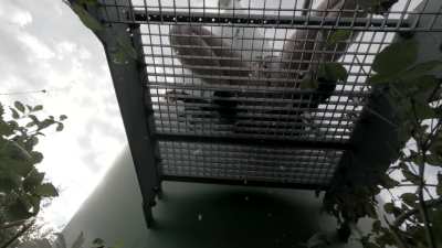 Do you want to be pissed on