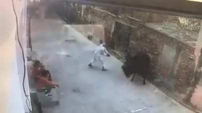 He brought a stick to a bull fight