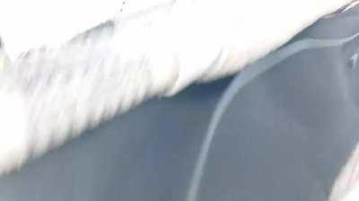 Did you like my outfit