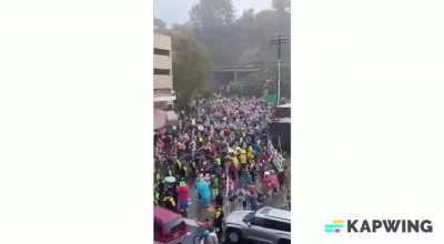 Believe your masters, not your eyes and ears 🙈🙉