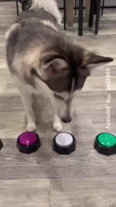 Sapphire is an honest food critic