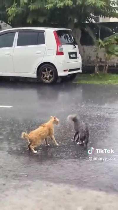 Kungfu fighting in the rain