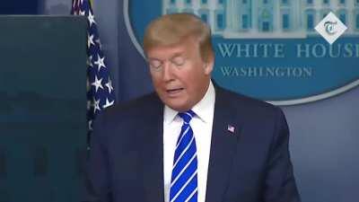 The real reason Trump lost the 2020 election.