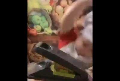 When the lobotomy hits hard