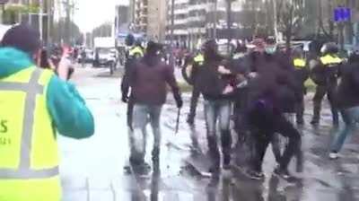 Covidiot in the Netherlands..