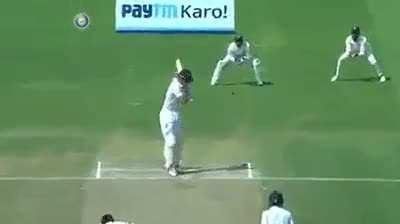 Shami to Cook and how it was set up