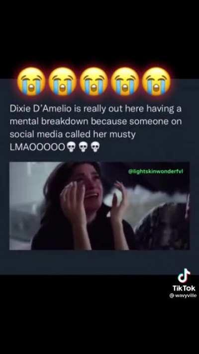 Dixie armadillo getting bullied 😔