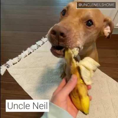 It’s banana day at Uncle Neil’s Home