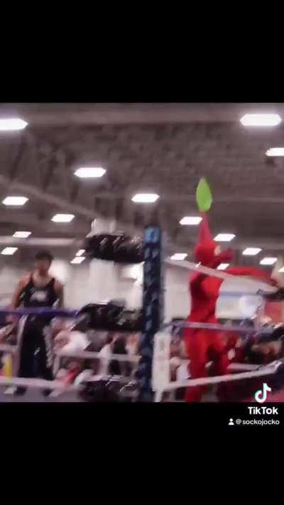 El fan menos esquizofrénico de pikmin: