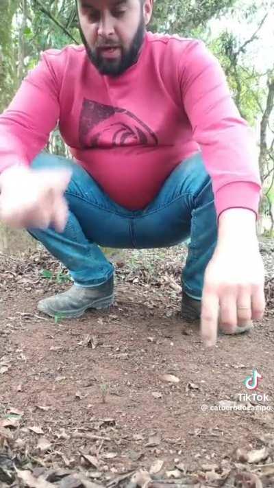 como cagar no mato