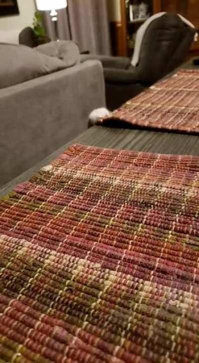 My parents' chonk trying to sneak food without knowing where it is on the table