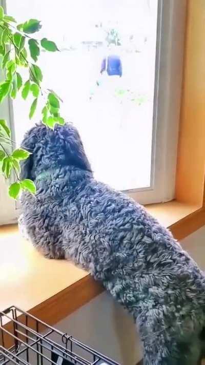 Best porn is social porn