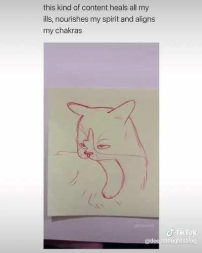 These cats and a doggo