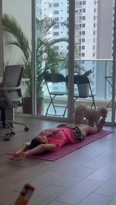 To do yoga in the living room