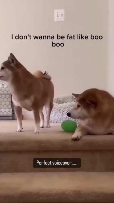 When Boo Boo is sick of you