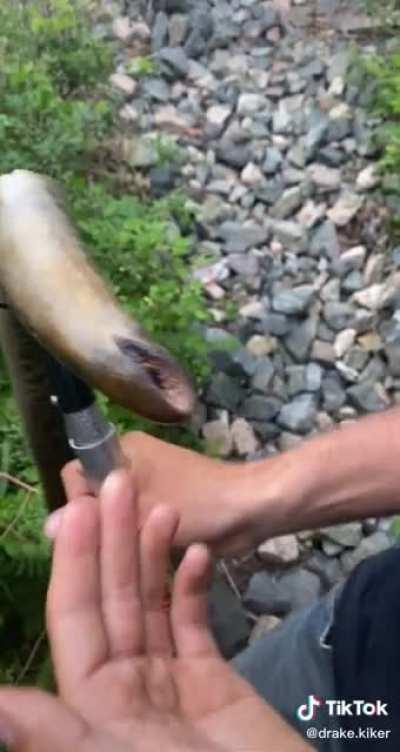 Definitely a bad look for me