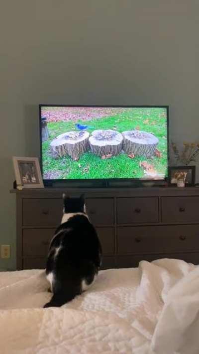 There was an attempt