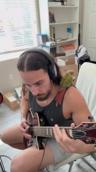 New song I’m working on. Working title: Death Meta Groover