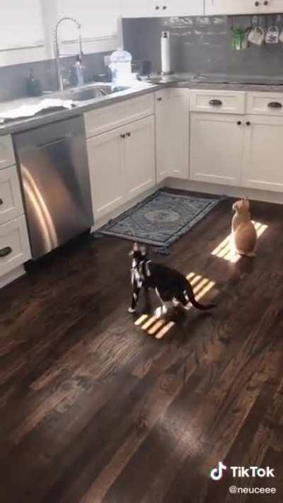 Some jumping exercises