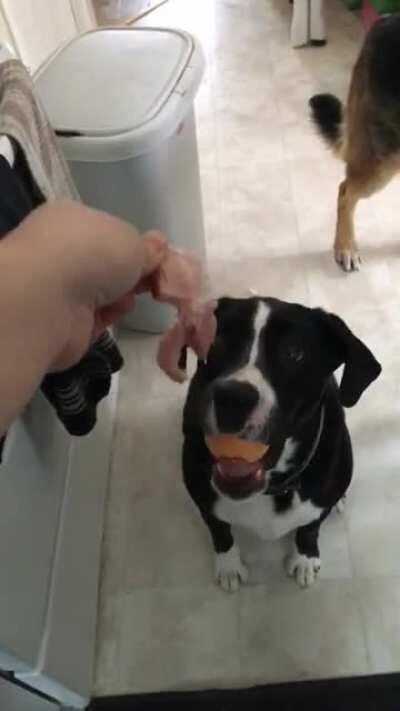 Can’t have your cake and eat it too