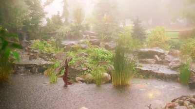 By request, Washington storm on my father's koi pond (loopable)