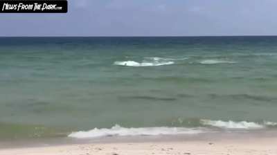 Video: Beachgoers Caught Running For Their Lives As Shark Patrols The Shallows