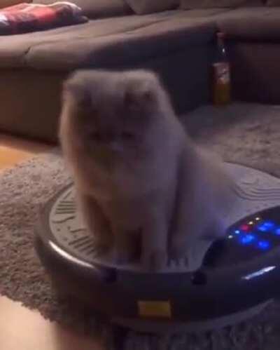 Cuumi after stealing serafeces hover board: