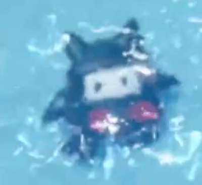 ninji fucking drowns.gif