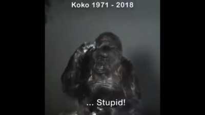 Monke right. (Fr made my heart break )