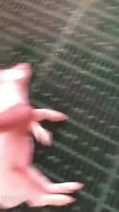 Мне бы такой сон как у этого Рудольфо