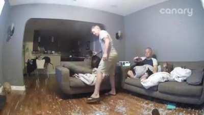 Dog Shatters Glass Table