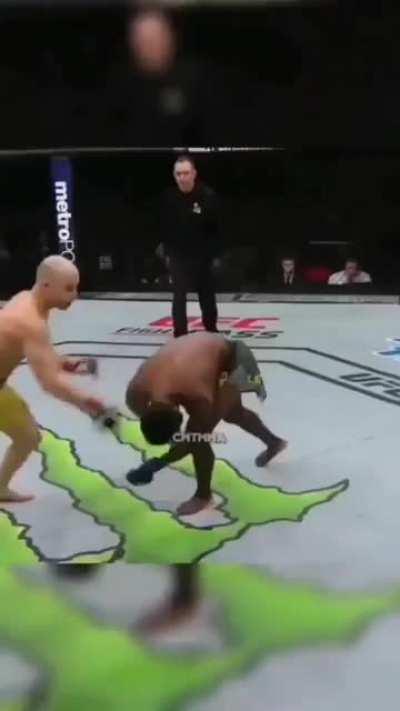 Prefer Indian Yt Channel Highlights 👴🏻