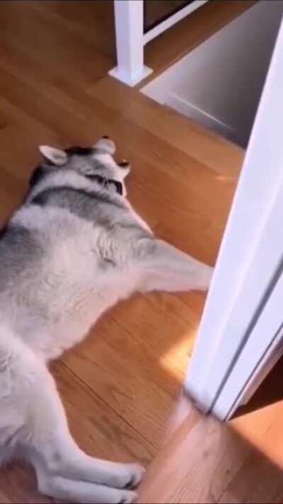 The ambulance has arrived