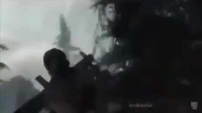 Just a dog playing fetch