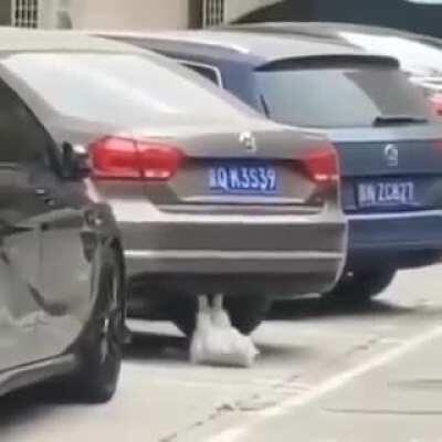 Sett mains every single game. Sauce: 9GAG