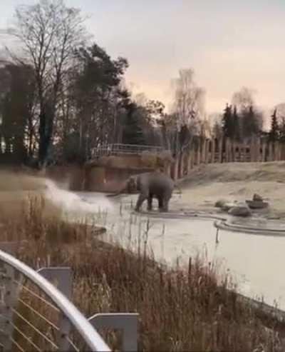 It did that only to be mean