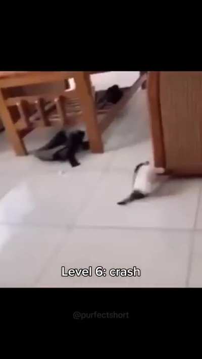 C@ failure report 2025