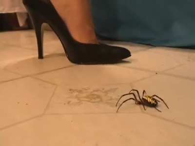 Does anyone know the name of this model ?