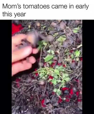 Earth is officially unsafe for human habitation.