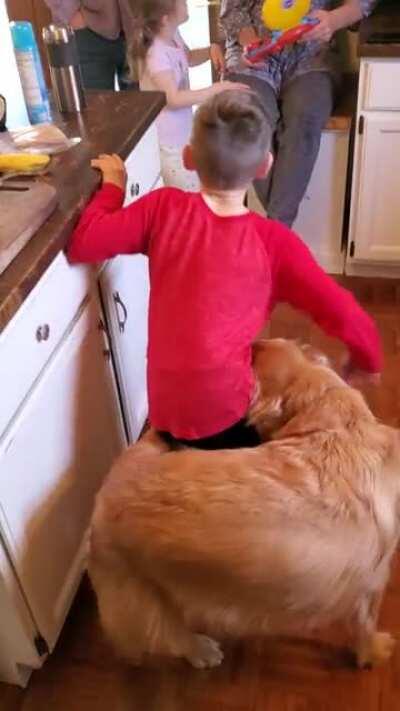 Good boy finally caught it.