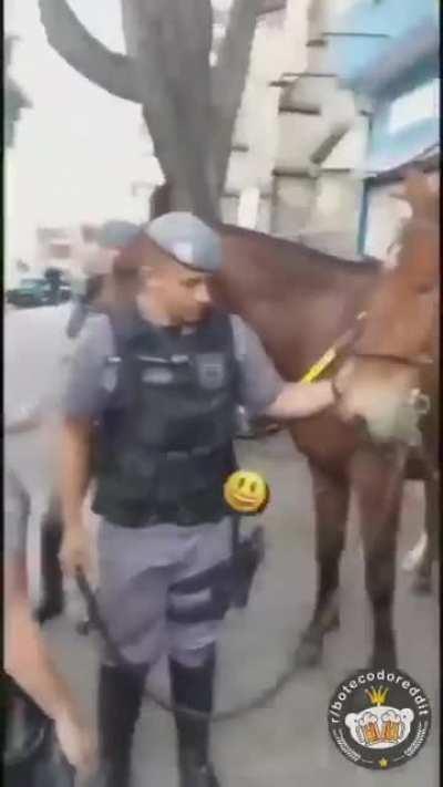 Posso fazer um carinho?