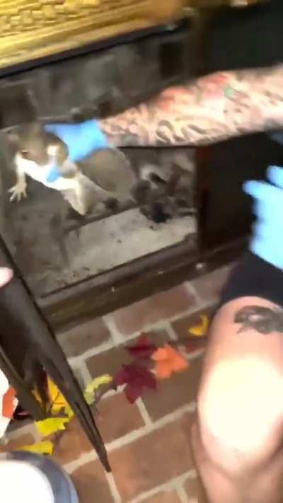 La importancia de utilizar guantes (adecuados)