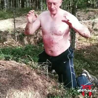 The power of the chi is in the ants!!