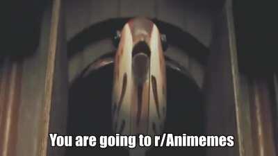 But can she protest against the trap ban 😳