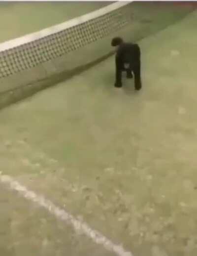 When you mess up real bad but things still work out