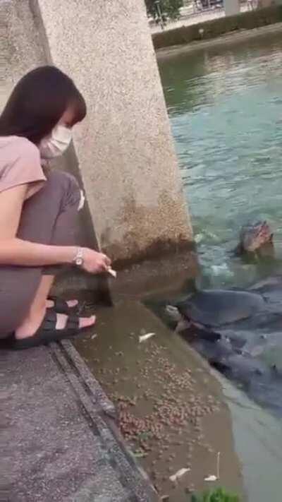 Maybe maybe maybe
