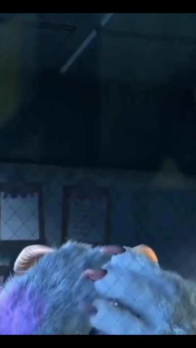 I think I downloaded the wrong Monsters Inc movie 